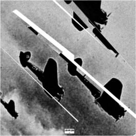 art direction. Graphic design. Black & white print for scarves. 