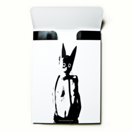 Art direction. Packaging. Lickmylegs t-shirt box. 