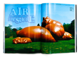 Inside magazine, direction artistique: Matthieu Lapierre 